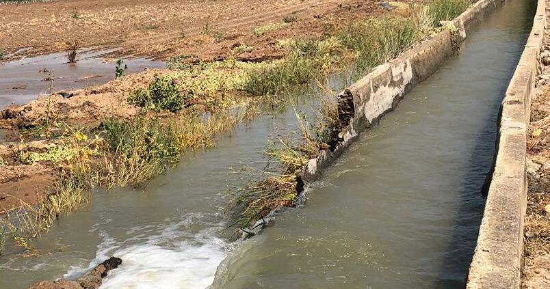 El regadío de Sevilla, pendiente del rescate de 9 millones de euros para modernización