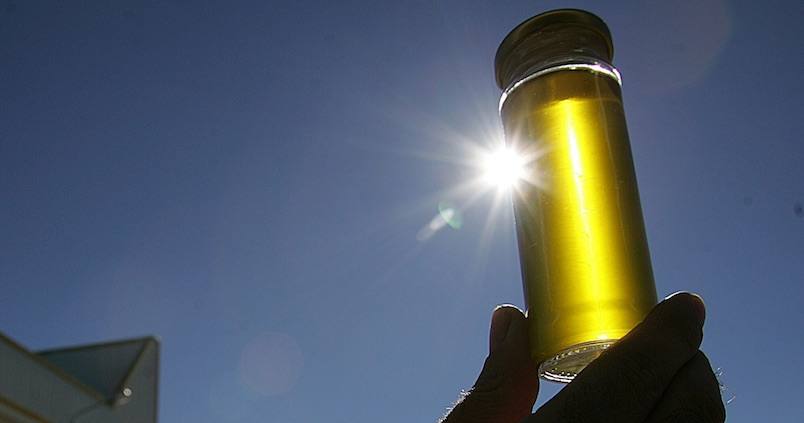 Europa autoriza el almacenamiento privado de aceite de oliva para ayudar los olivareros españoles