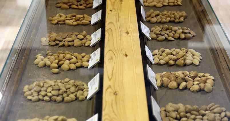 almendra-recurso-valeriomerino