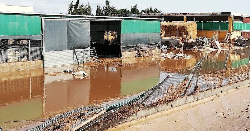 Los afectados por la gota fría pueden aplazar el pago de cuotas a la Seguridad Social