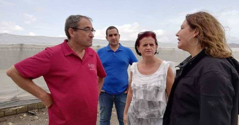 La Consejería de Agricultura destinará 48 millones a paliar los efectos del temporal