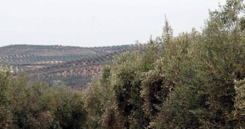 Acuerdo en la UE: el presupuesto 2020 dedicará un 30% a la agricultura