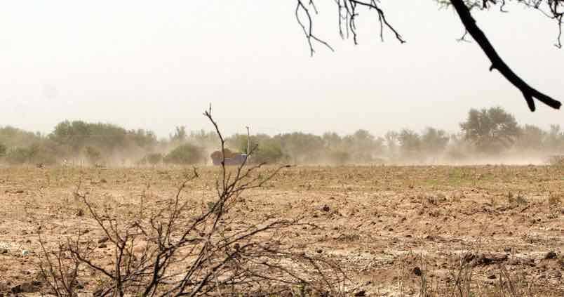 Decálogo de medidas necesarias para que el campo sobreviva a la sequía