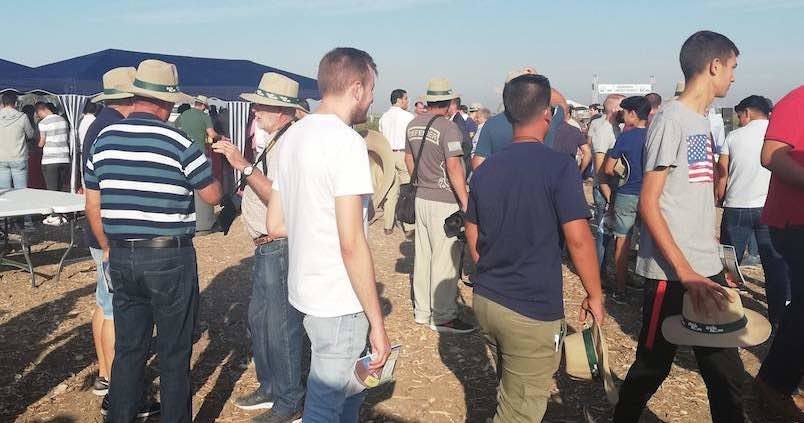 El sector algodonero se reúne en Los Palacios y Villafranca en medio de una campaña «complicada»