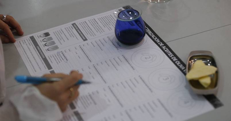 La Universidad de Córdoba simplifica el método para categorizar el aceite de oliva