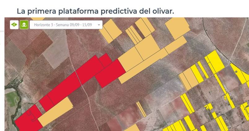Olivia, Inteligencia artificial sevillana al servicio del olivar