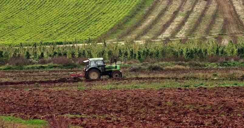 La Junta y el sector agroalimentario andaluz hacen piña para rechazar los recortes en la PAC
