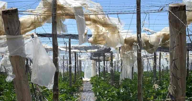 Agricultura anuncia el inicio del arreglo de los caminos afectados por la gota fría