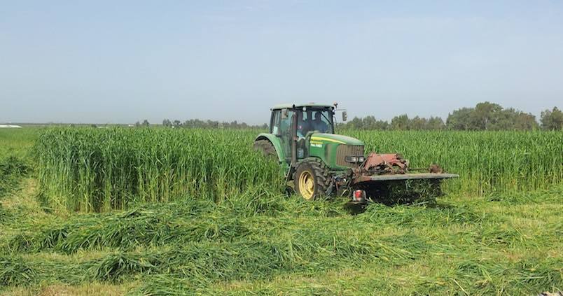 Agricultura amplia a 100 millones las ayudas a la modernización de explotaciones agrarias