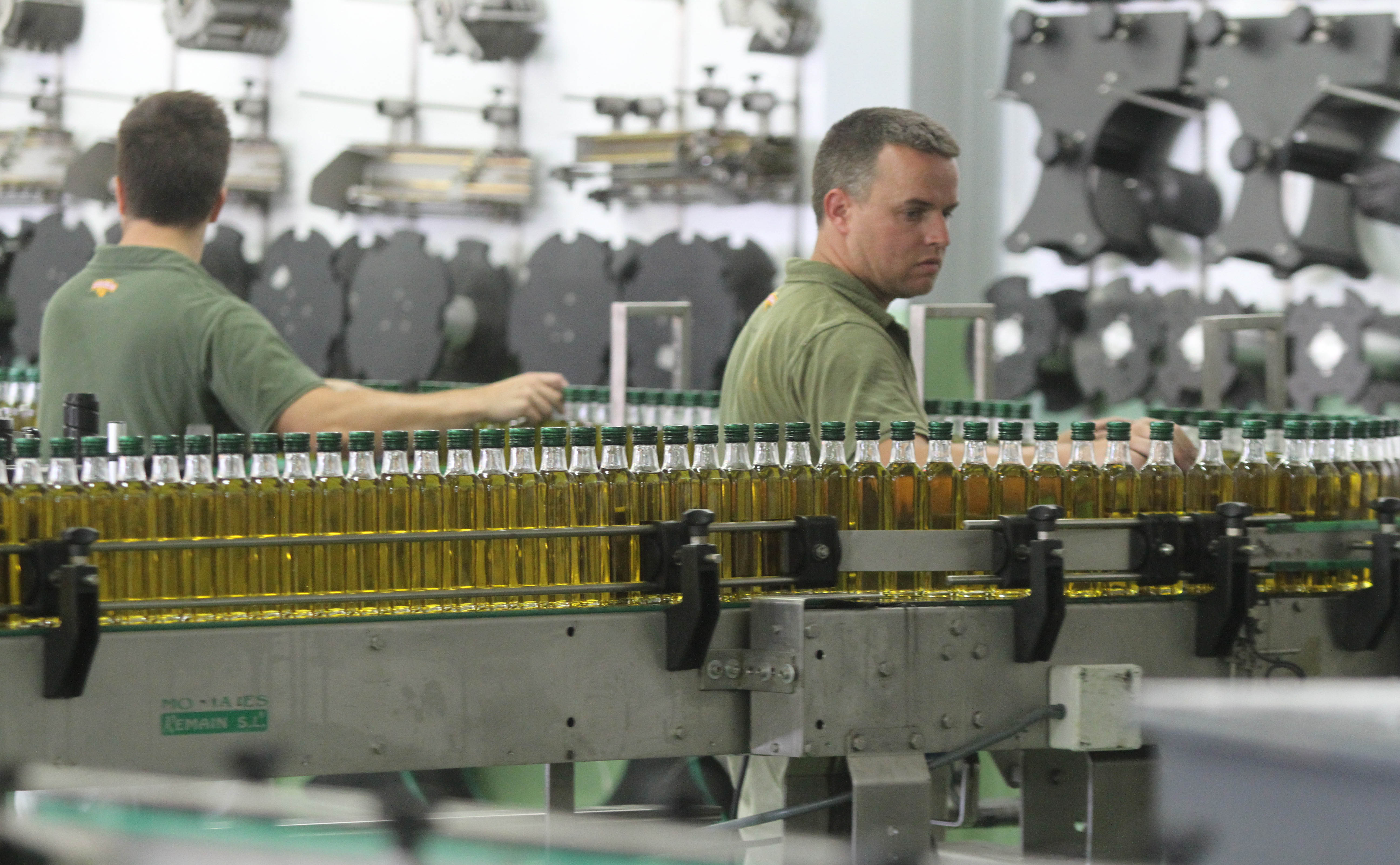 El ‘oro andaluz’: el aceite de oliva se consolida como el producto más exportado de la región