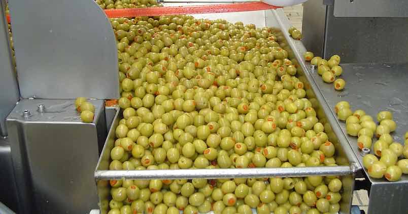 Las ventas de aceituna negra en Estados Unidos han caído un 50% en dos años