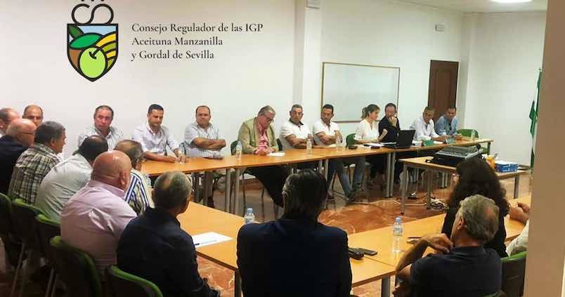 Las IGP Manzanilla y Gordal constituyen su consejo regulador