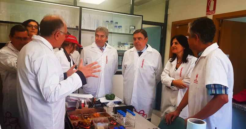 La Cooperativa La Palma, un ejemplo de innovación con más de 700 agricultores