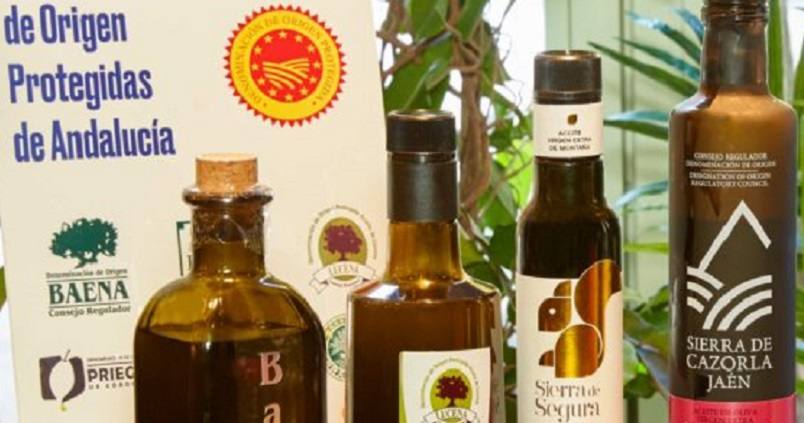 El potencial del aceite temprano andaluz crece en las últimas campañas