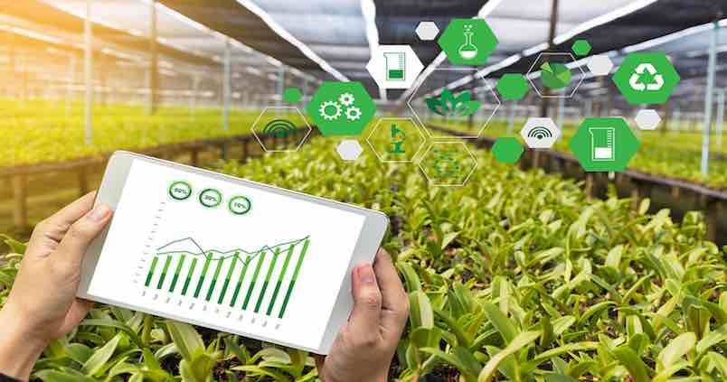 app-bionatura-startup