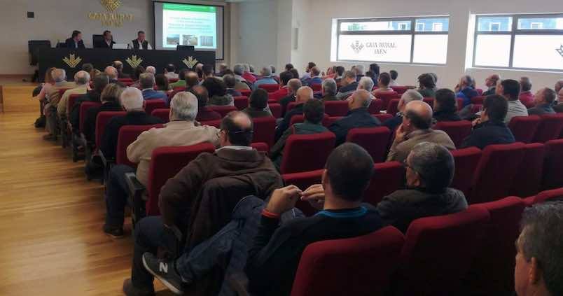 Cooperativas Agro-alimentarias resuelve las dudas que suscita el almacenamiento de aceite