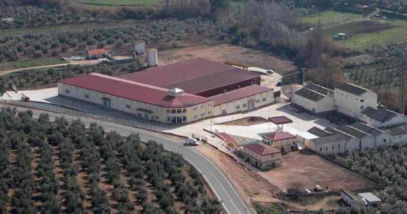 Las cooperativas de San Juan de la Cruz y Ntra Señora de la Paz se fusionan