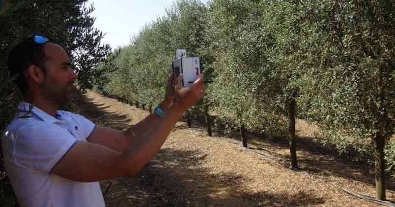 Desarrollan una cámara termográfica para mejorar el riego de los cultivos