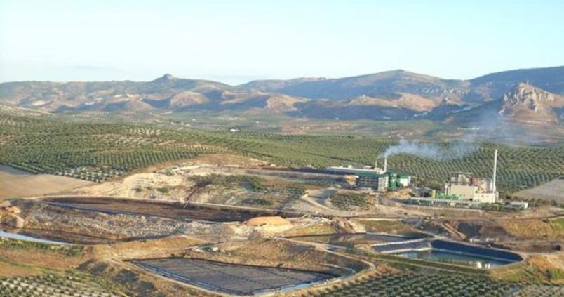 Oleícola El Tejar invertirá 70 millones en una planta de biomasa