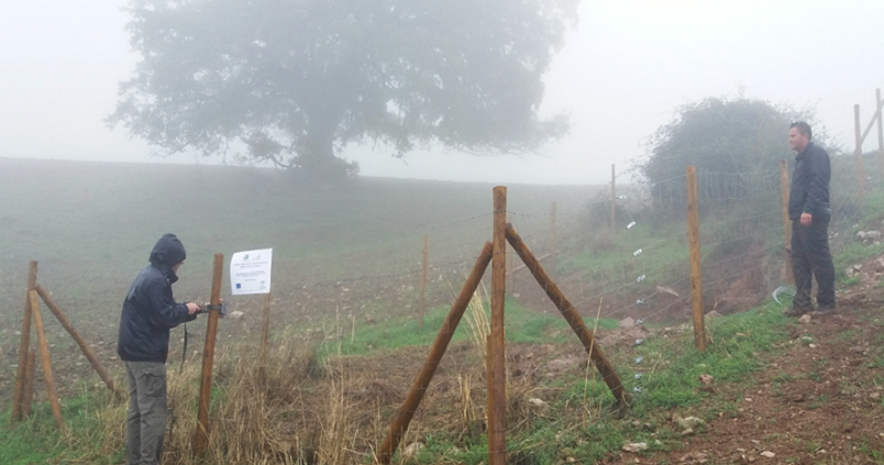 Cómo controlar la tuberculosis bovina a través de medidas de bioseguridad