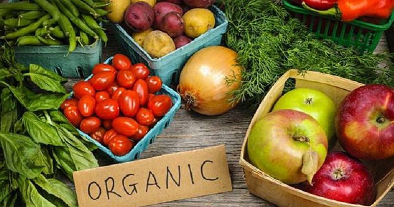 El Parlamento Europeo fomenta la producción y el consumo de productos ecológicos en Granada