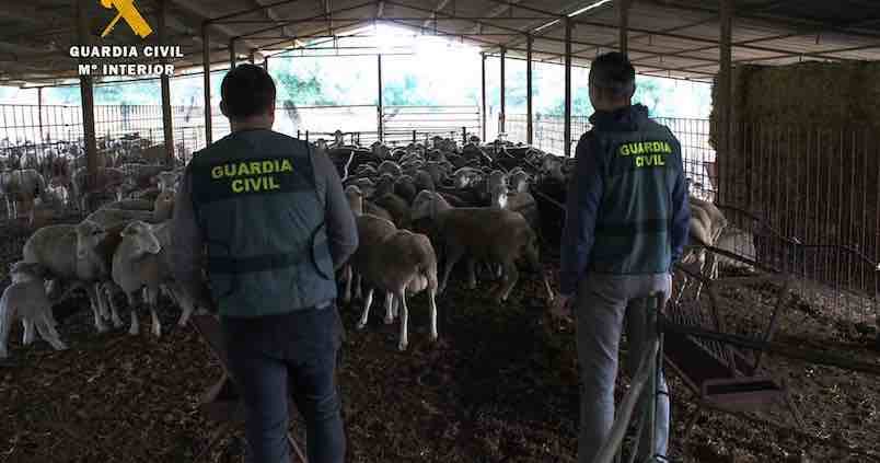 Los robos en el campo se reducen un 20% en Córdoba en lo que va de año