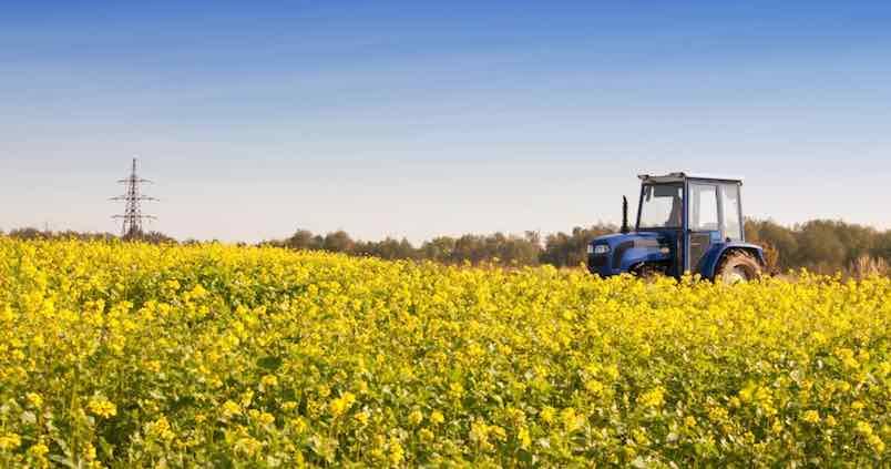 Se amplía el plazo para la suscripción y modificación de los seguros agrarios