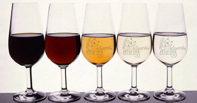 La DO Montilla-Moriles reúne a formadores expertos en un encuentro nacional