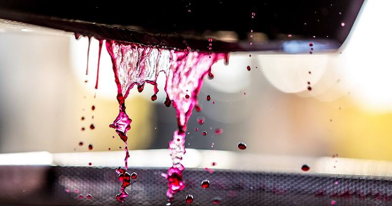 vino-vitinicultura-jerez