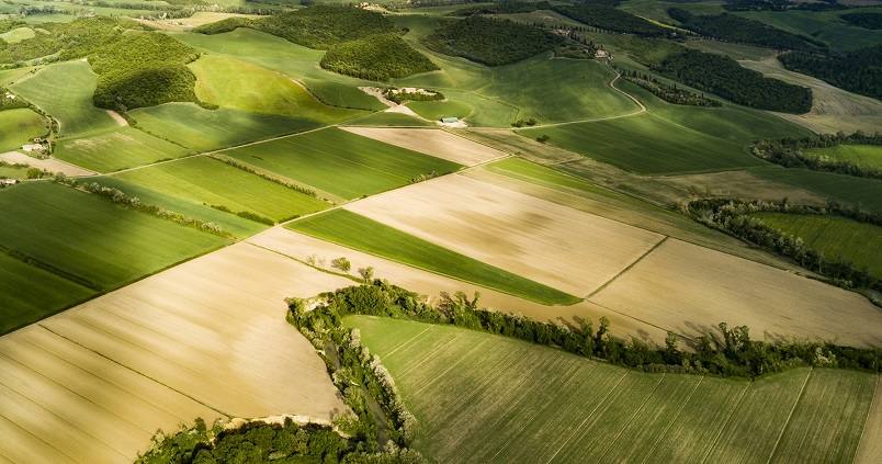 La mesa agraria andaluza pide celeridad al Gobierno en publicar las rebajas fiscales