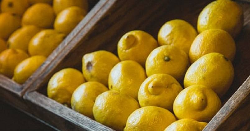 Andalucía lidera la producción de limón ecológico en España, el cítrico con más superficie