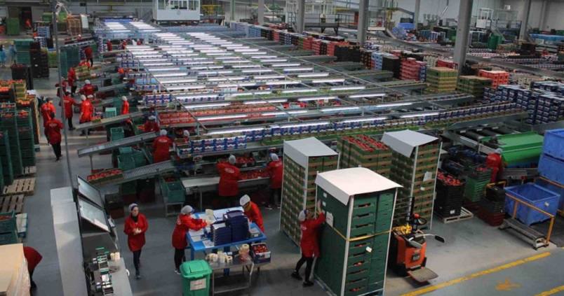 Vicasol inaugura nueva sede en El Ejido