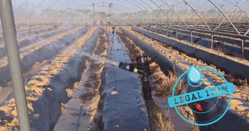 Un sello certifica el origen legal del agua de las fresas