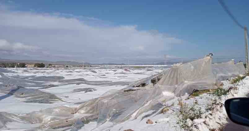 Cifran en 90 millones de euros los daños que ha causado el granizo en Almería