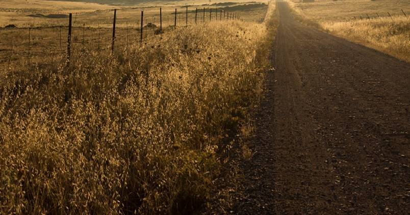 La restauración de cauces en Andalucía tras la DANA estará a punto en primavera