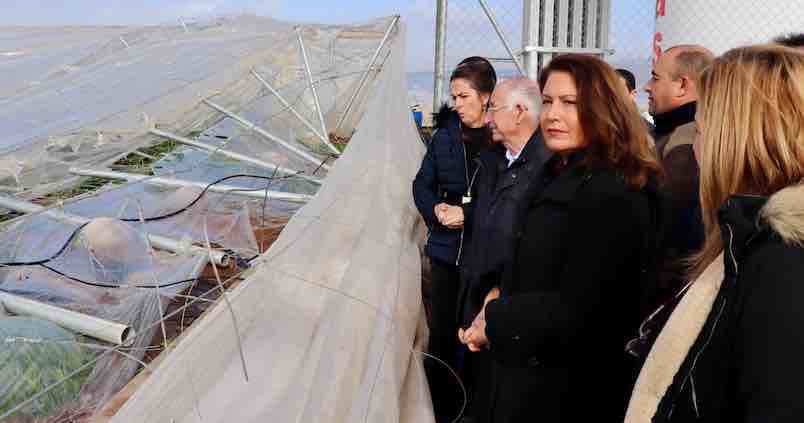 Agricultura activa la comisión de catástrofes para evaluar los daños de «Gloria»