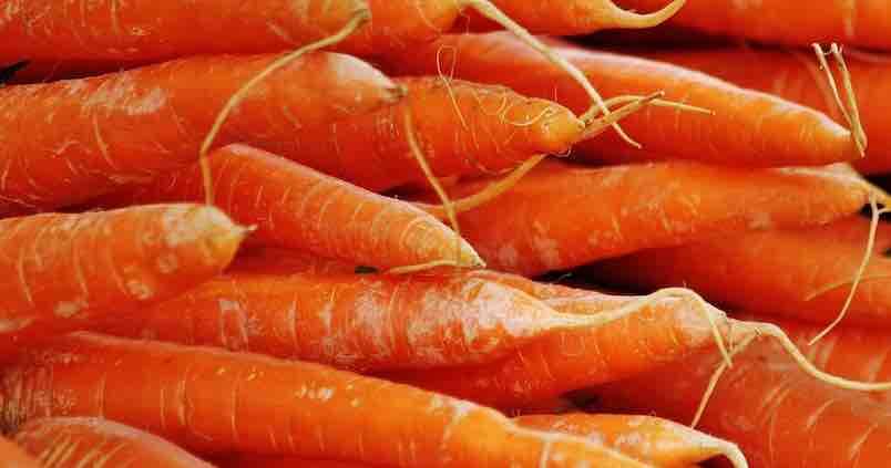 Cádiz se consolida como la principal productora de zanahoria de Andalucía