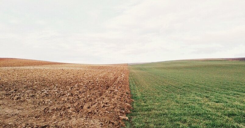 Asaja critica la falta de presupuesto en la estrategia agrícola de la UE