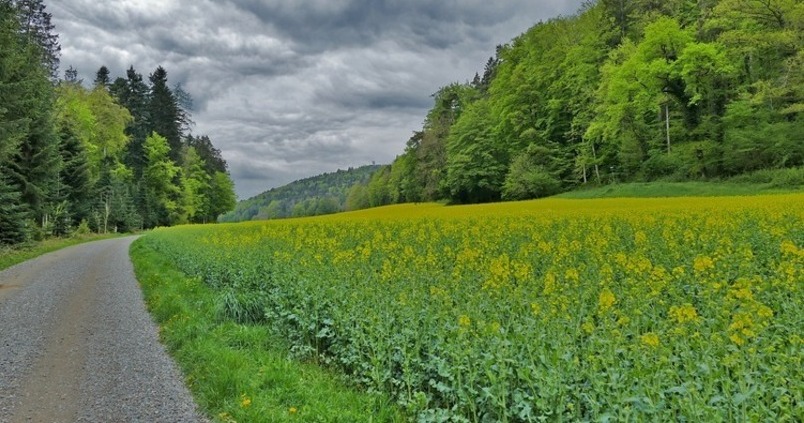 Extenda promocionará el sector hortofrutícola andaluz en Suiza