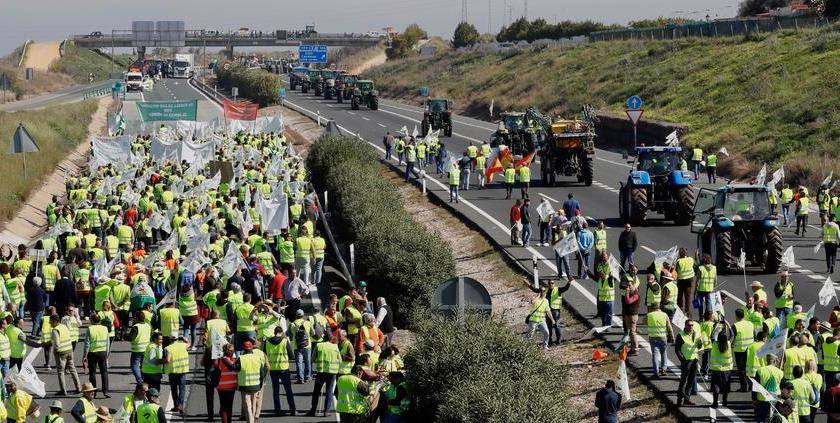El campo pide medidas «inmediatas» que impacten en la reducción de los costes
