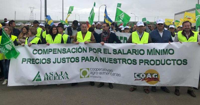Del campo a la ciudad: miles de agricultores y ganaderos se movilizan en Huelva