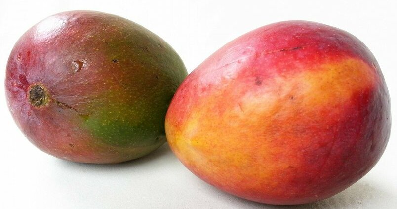 ¿Qué enfermedades afectan al mango durante su floración?