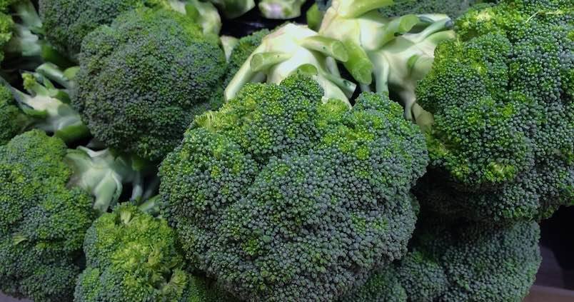Combinar el cultivo de brócoli con el de habas reduce el uso de fertilizantes un 30%