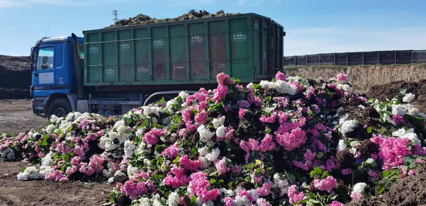 Se abre el plazo para solicitar las ayudas por la destrucción de flores y plantas ornamentales