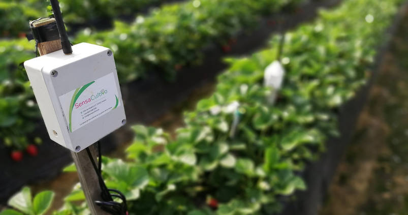 Día Mundial del Agua: El futuro del regadío en cinco proyectos tecnológicos