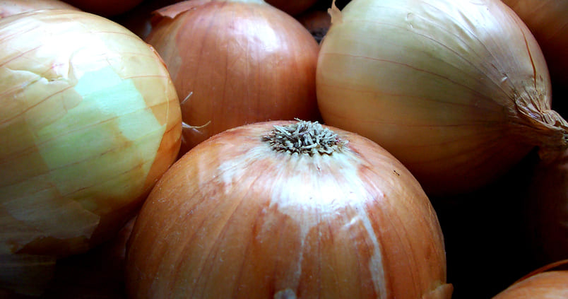 La cebolla andaluza no tiene quien la compre