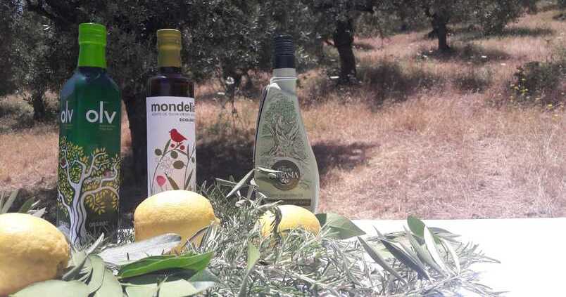 «Mondelia de Hacienda Bolonia» se alza con el máximo galardón de Ecotrama 2020