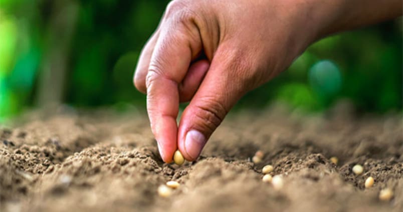 Alertan de la pérdida del suelo agrario: la erosión reducirá un 10% de la producción de alimentos en 2050