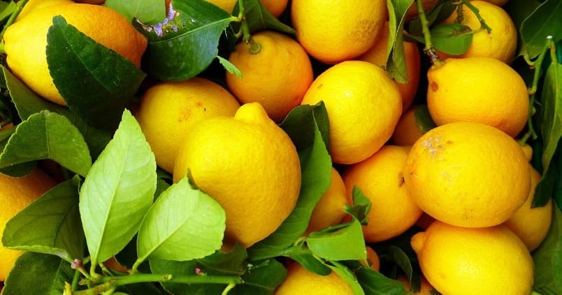 limon-citricos-frutas