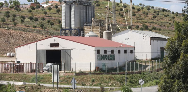 La cooperativa onubense Ovipor aumenta un 7,5% su facturación por el empuje del caprino